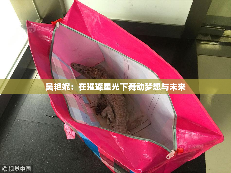 吴艳妮：在璀璨星光下舞动梦想与未来