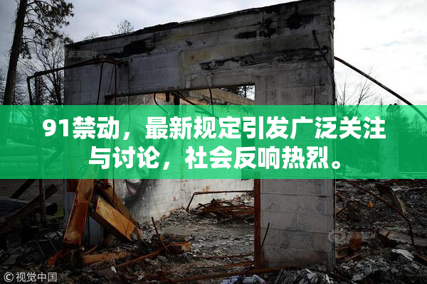 91禁动，最新规定引发广泛关注与讨论，社会反响热烈。