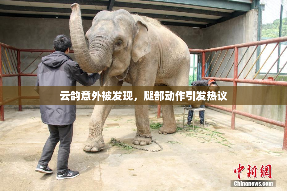 云韵意外被发现，腿部动作引发热议