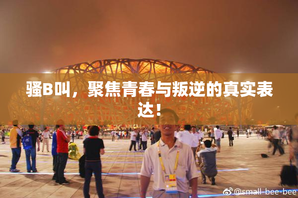 骚B叫，聚焦青春与叛逆的真实表达！