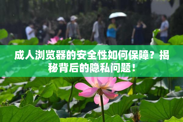 成人浏览器的安全性如何保障？揭秘背后的隐私问题！