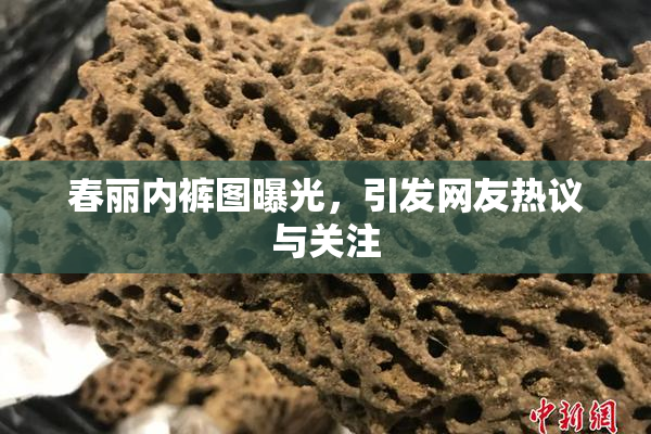 春丽内裤图曝光，引发网友热议与关注