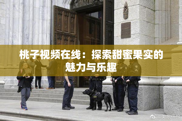 桃子视频在线：探索甜蜜果实的魅力与乐趣