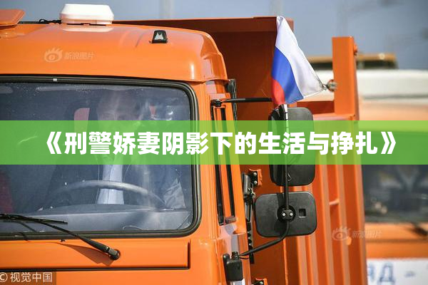 《刑警娇妻阴影下的生活与挣扎》