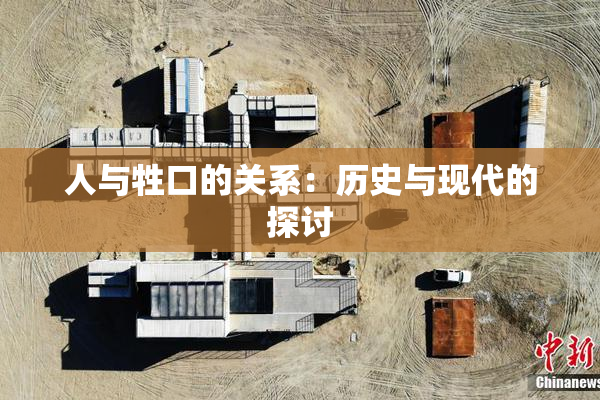 人与牲口的关系：历史与现代的探讨