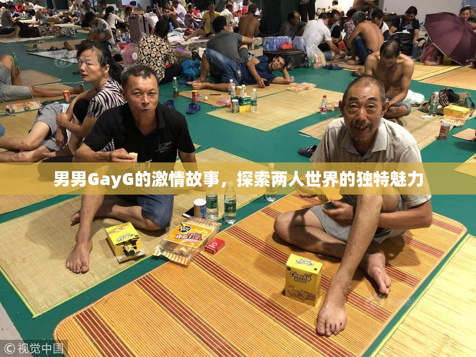 男男GayG的激情故事，探索两人世界的独特魅力