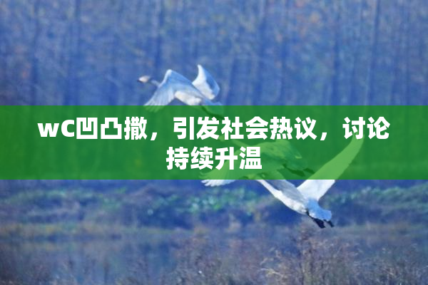 wC凹凸撒，引发社会热议，讨论持续升温