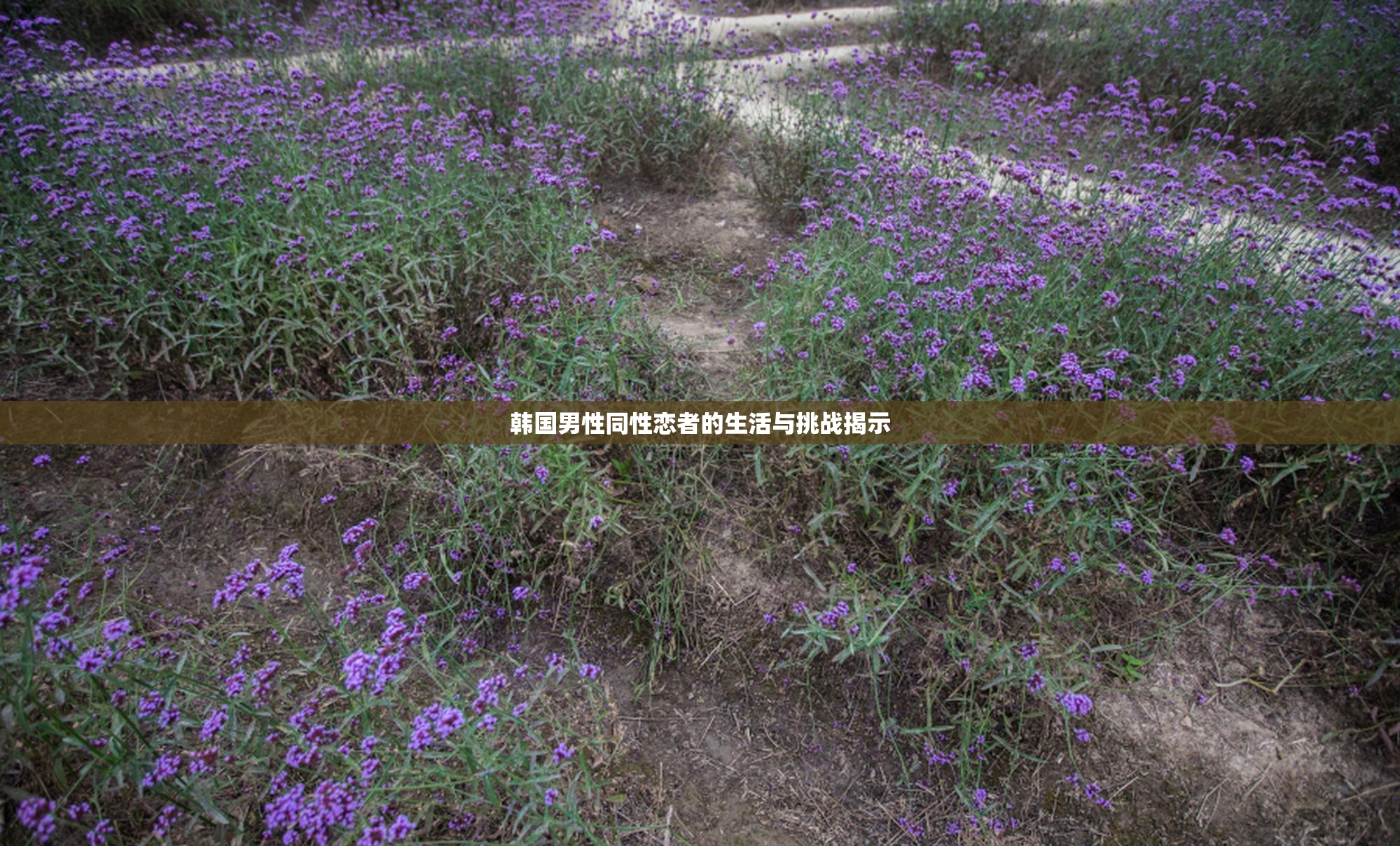韩国男性同性恋者的生活与挑战揭示