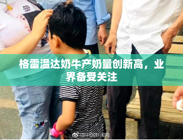 格雷温达奶牛产奶量创新高，业界备受关注