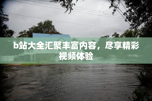 b站大全汇聚丰富内容，尽享精彩视频体验