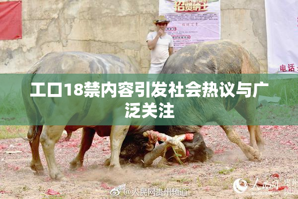 工口18禁内容引发社会热议与广泛关注