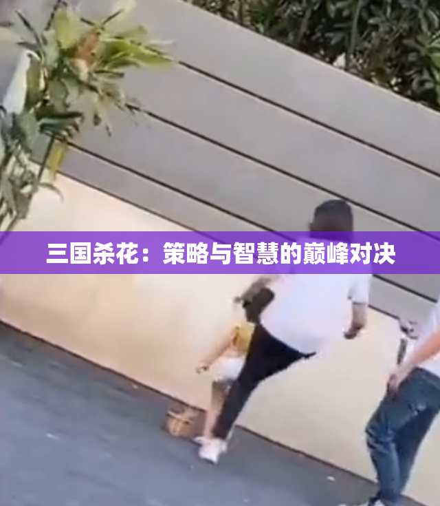 三国杀花：策略与智慧的巅峰对决