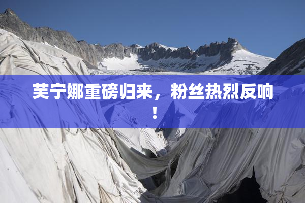 芙宁娜重磅归来，粉丝热烈反响！