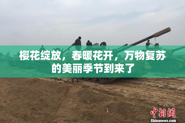 樱花绽放，春暖花开，万物复苏的美丽季节到来了