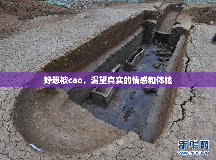 好想被cao，渴望真实的情感和体验