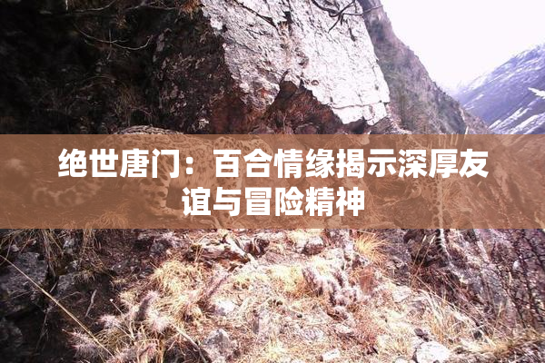 绝世唐门：百合情缘揭示深厚友谊与冒险精神