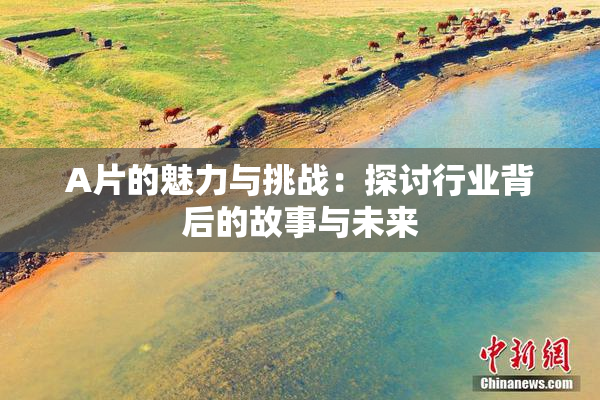 A片的魅力与挑战：探讨行业背后的故事与未来