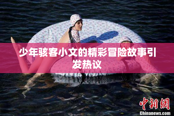 少年骇客小文的精彩冒险故事引发热议