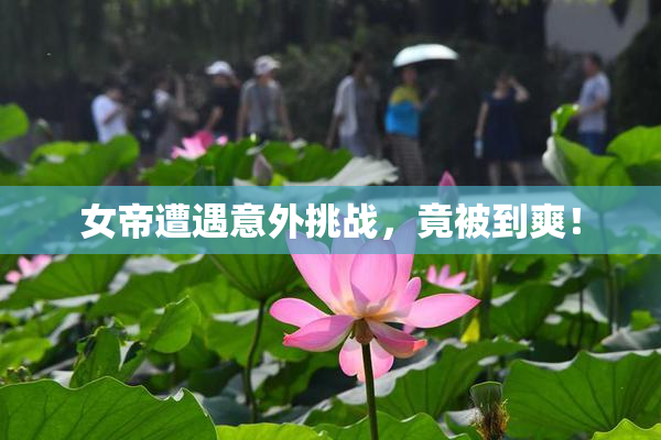 女帝遭遇意外挑战，竟被到爽！
