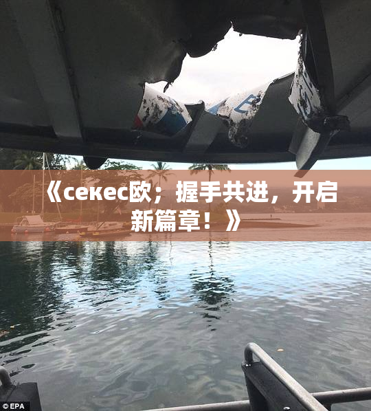 《ceкес欧；握手共进，开启新篇章！》