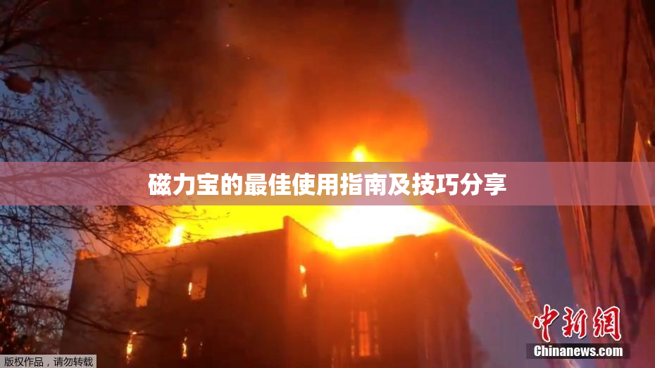 磁力宝的最佳使用指南及技巧分享