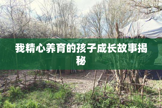 我精心养育的孩子成长故事揭秘