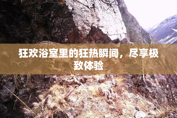 狂欢浴室里的狂热瞬间，尽享极致体验