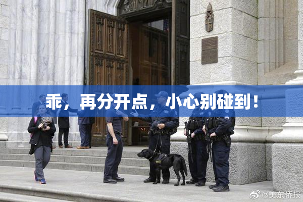 乖，再分开点，小心别碰到！
