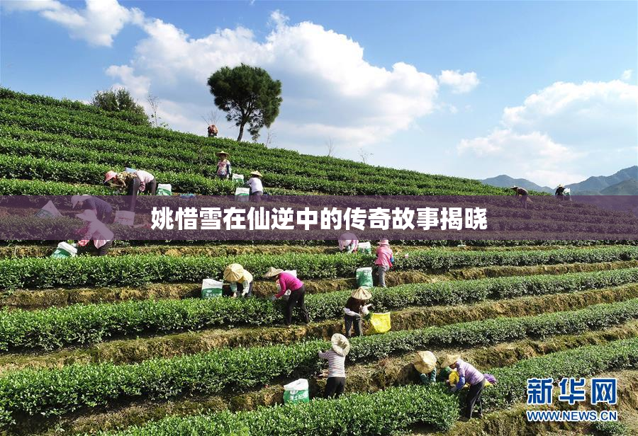 姚惜雪在仙逆中的传奇故事揭晓