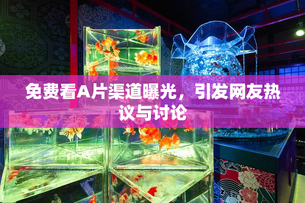 免费看A片渠道曝光，引发网友热议与讨论