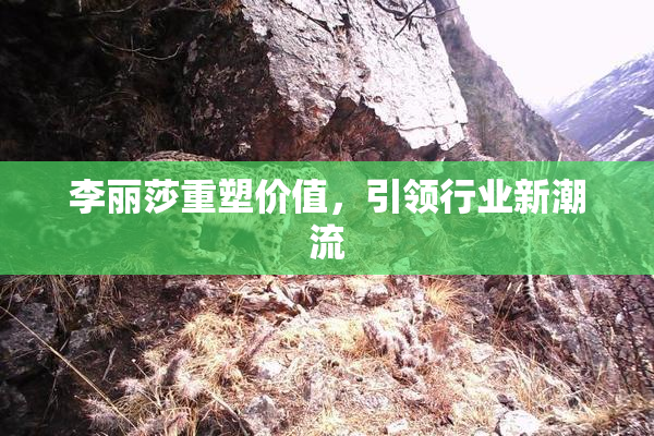 李丽莎重塑价值，引领行业新潮流