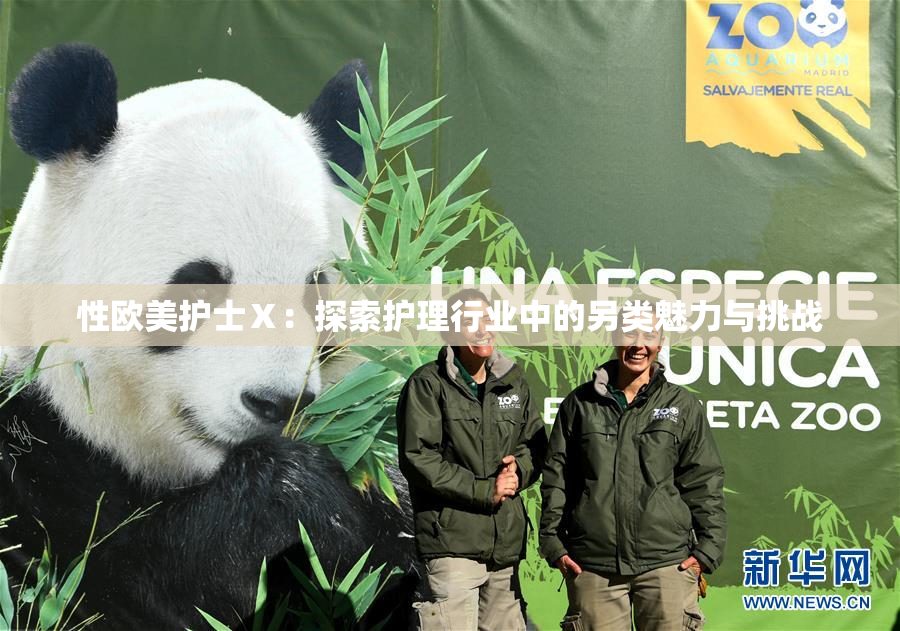 性欧美护士Ⅹ：探索护理行业中的另类魅力与挑战