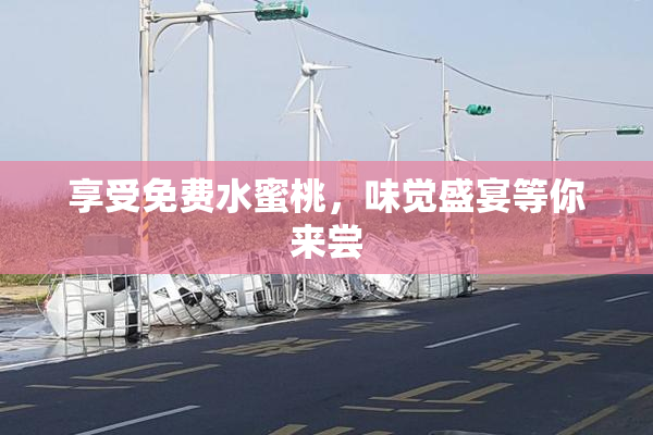 享受免费水蜜桃，味觉盛宴等你来尝
