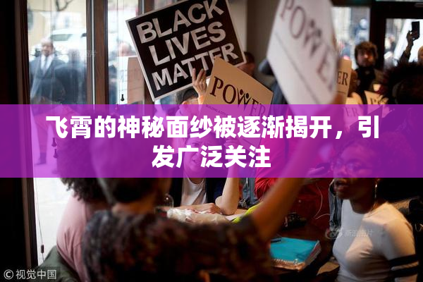 飞霄的神秘面纱被逐渐揭开，引发广泛关注