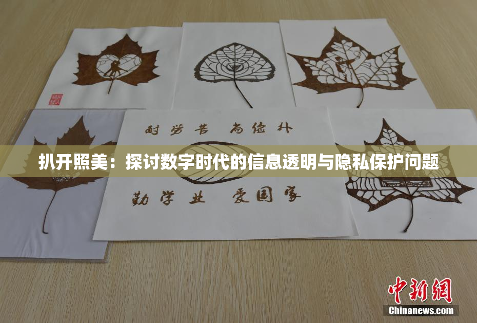 扒开照美：探讨数字时代的信息透明与隐私保护问题