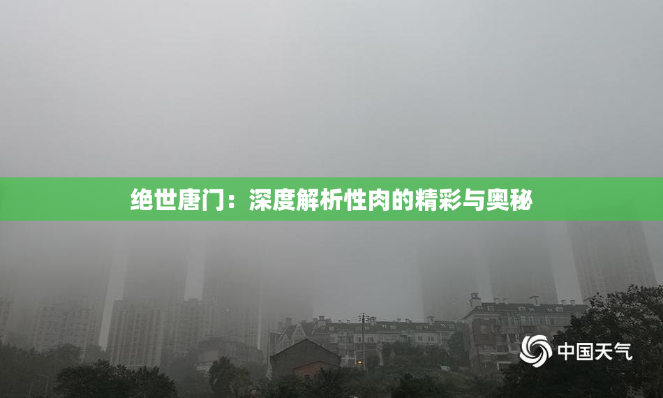 绝世唐门：深度解析性肉的精彩与奥秘