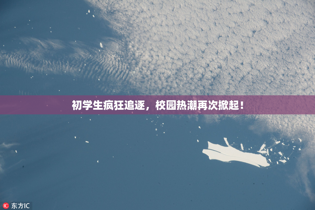 初学生疯狂追逐，校园热潮再次掀起！