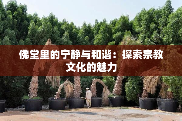 佛堂里的宁静与和谐：探索宗教文化的魅力