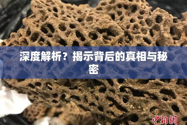 深度解析？揭示背后的真相与秘密