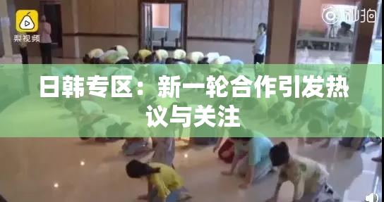 日韩专区：新一轮合作引发热议与关注