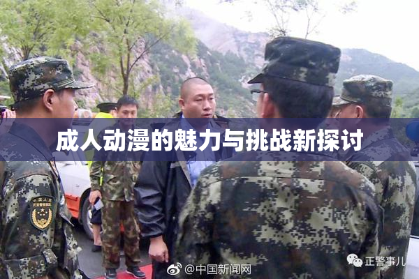 成人动漫的魅力与挑战新探讨