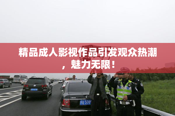精品成人影视作品引发观众热潮，魅力无限！
