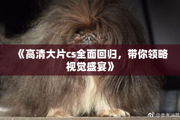 《高清大片cs全面回归，带你领略视觉盛宴》
