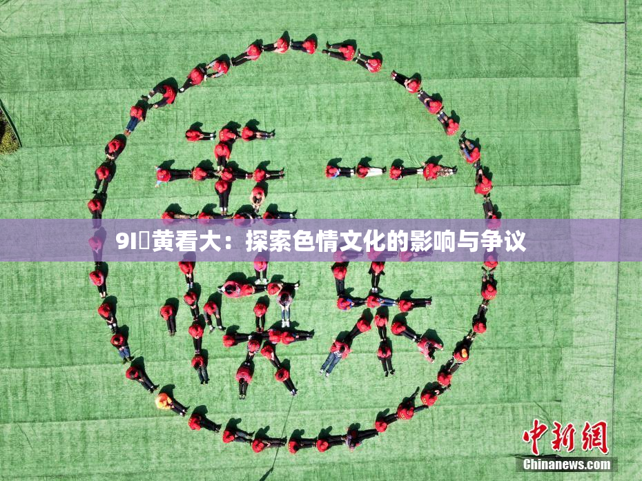 9I婬黄看大：探索色情文化的影响与争议