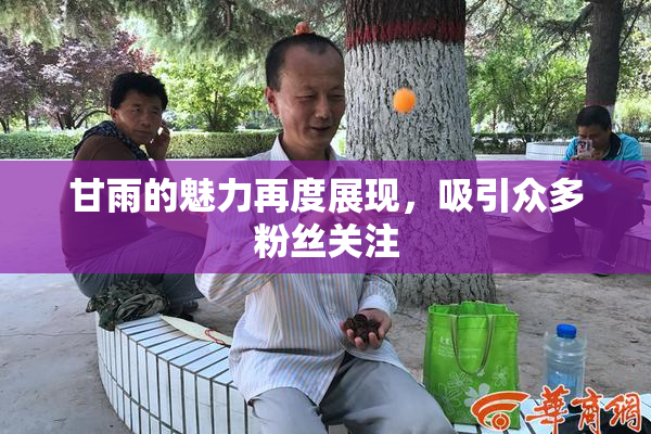 甘雨的魅力再度展现，吸引众多粉丝关注