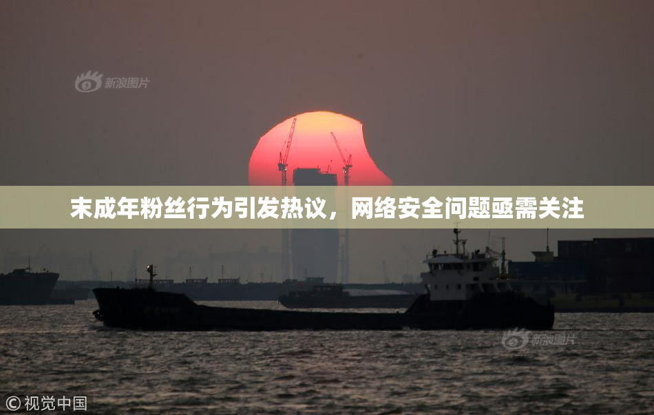 末成年粉丝行为引发热议，网络安全问题亟需关注