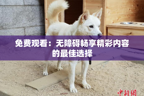免费观看：无障碍畅享精彩内容的最佳选择
