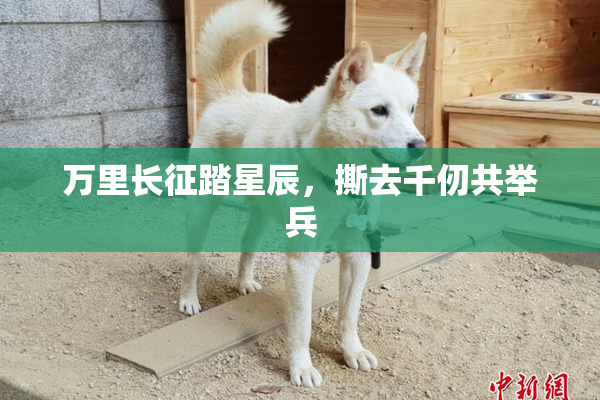 万里长征踏星辰，撕去千仞共举兵