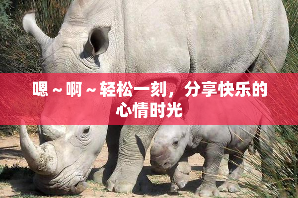 嗯～啊～轻松一刻，分享快乐的心情时光