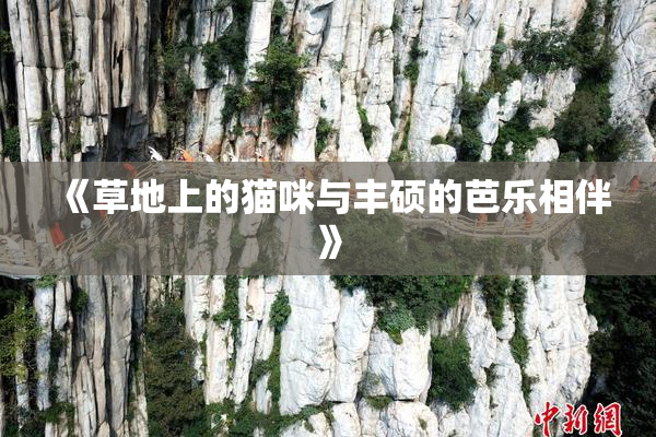 《草地上的猫咪与丰硕的芭乐相伴》